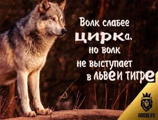 🐺