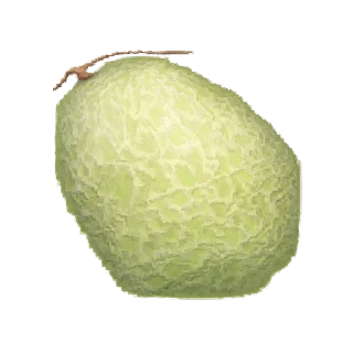🍈