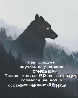 🐺