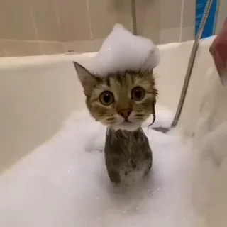 😶