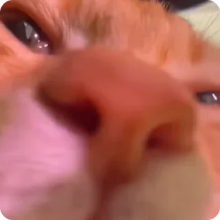 🥰