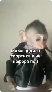 😎