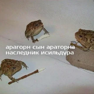 💪