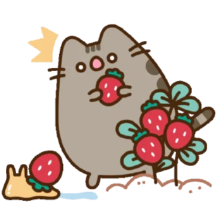 🍓