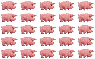 🐖