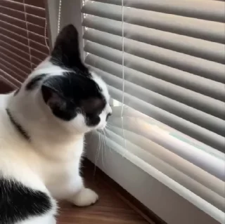 ☺️