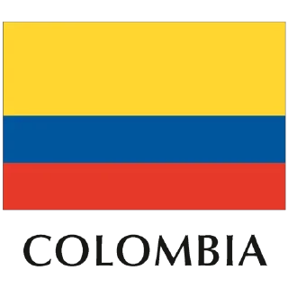 🇨🇴