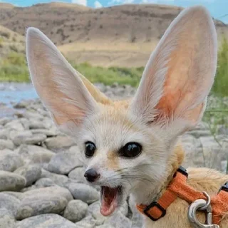 😩
