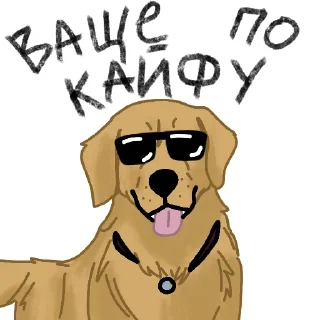 🕶