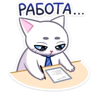 💻