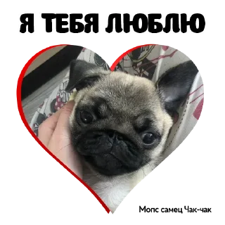 ❤️