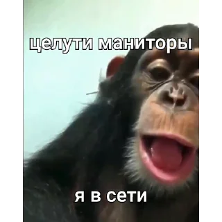 🐵