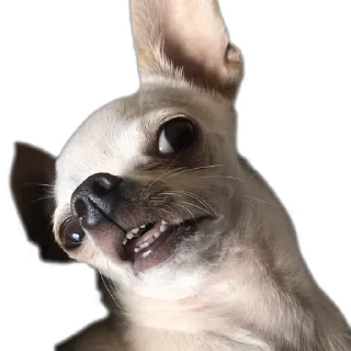 🤤