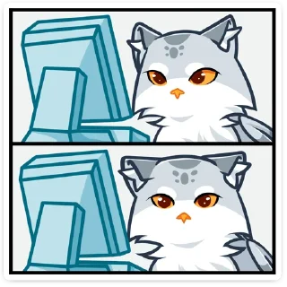 💻