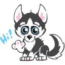 Husky