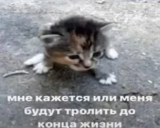 😢
