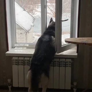 😞