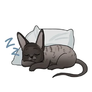 😴
