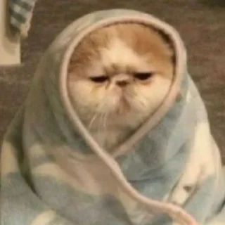 😞