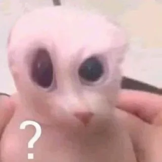 🤨