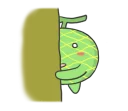 🍈