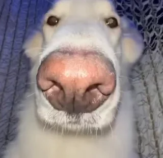 😮