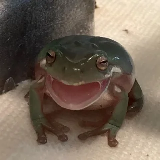 😳