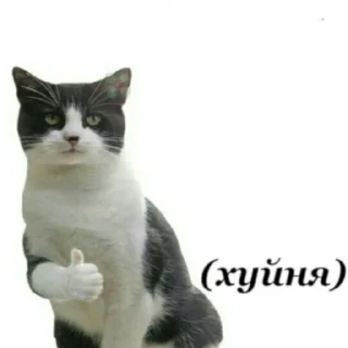 👍