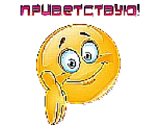 Shakal @stickersb2b