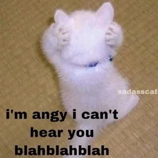 🙉