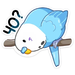 ❓