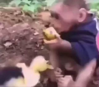 🌟