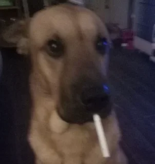 🚬