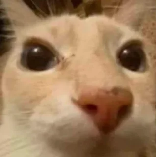 😅