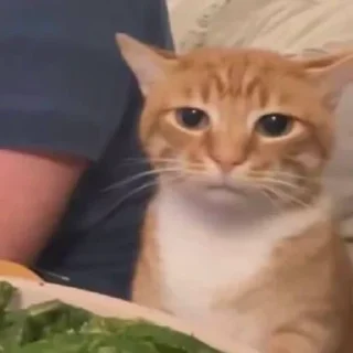 😑