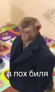 😛
