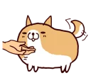 🐶