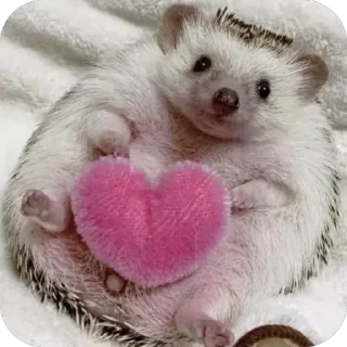 ❤