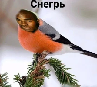 🍇