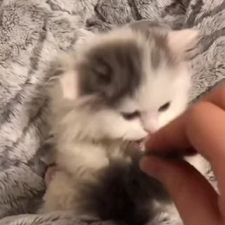 💕