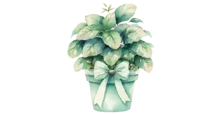 💚