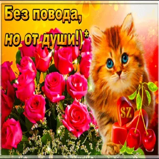😸