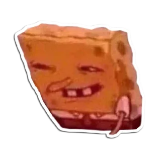 🧽