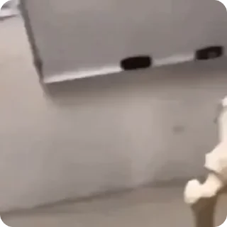 💀