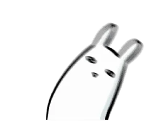 🐰