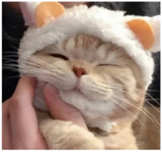 🙂