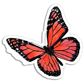 🦋