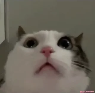 🤯