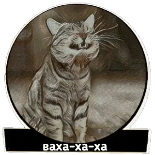 😸