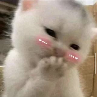🤭